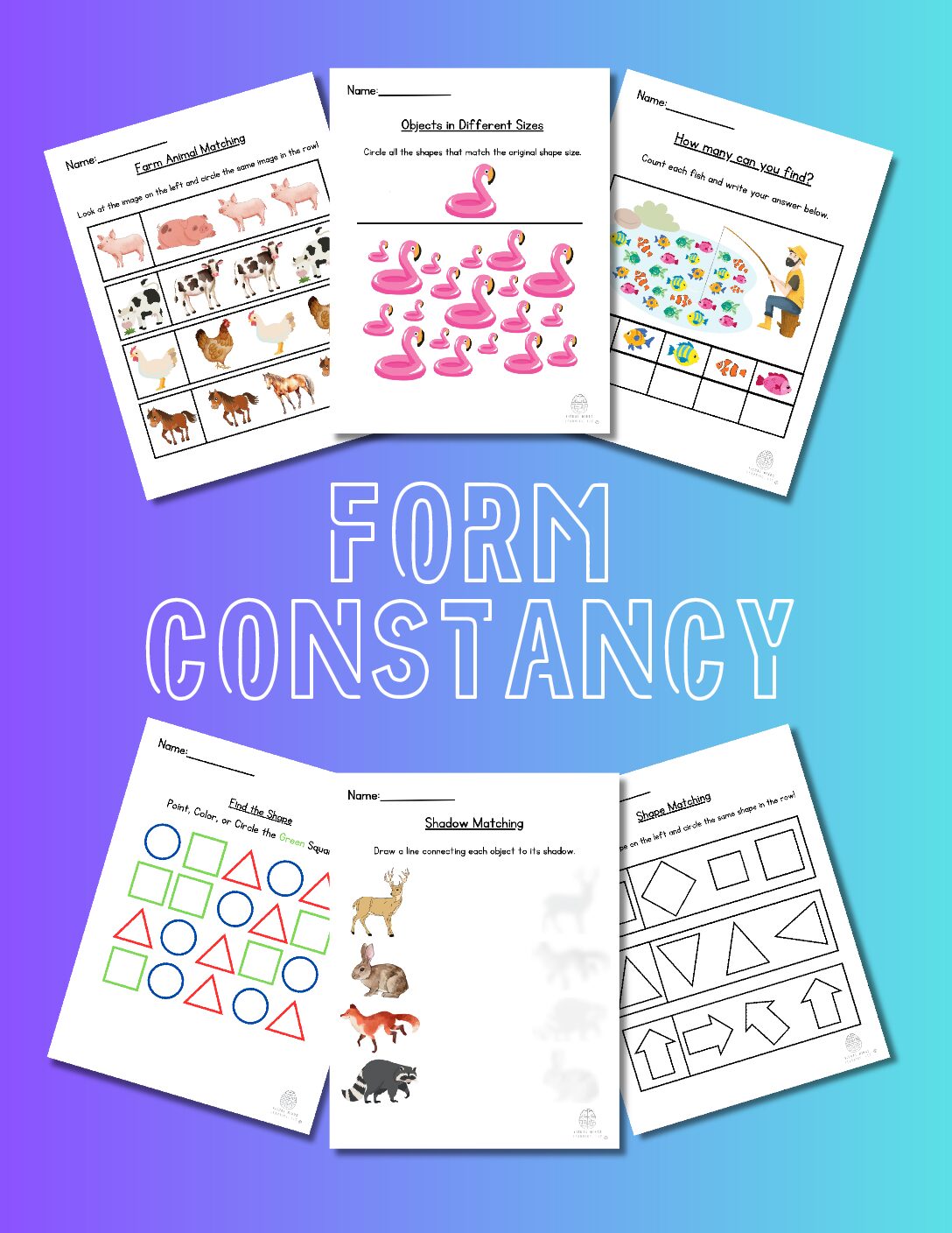 Form Constancy 6 Pack